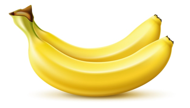 Realistische gelbe Banane Tropische Fruchtbündel Frische Lebensmittel Diät-Dessert-Snack Gesundes Naturprodukt Vegetarische Mahlzeit Zutat Vitamin-Ernährung Vektor köstliche vegane Vorspeise