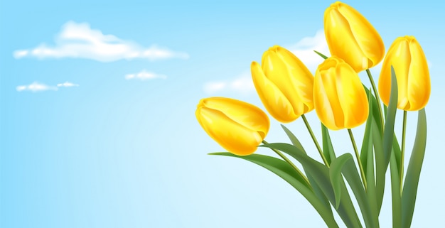 Realistische gelbe tulpen und himmelsillustration