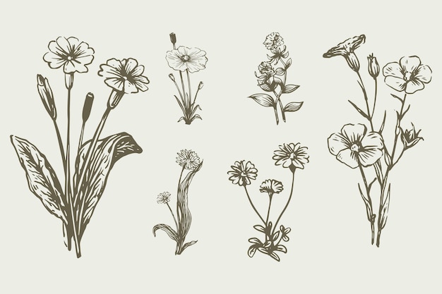 Realistische handgezeichnete organische Wildblumen