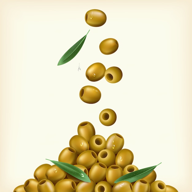 Realistische Illustration von grünen Oliven, mit Blättern entsteint. Illustration