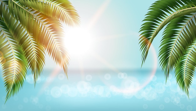 Realistische Naturpalmenblätter am tropischen Strand