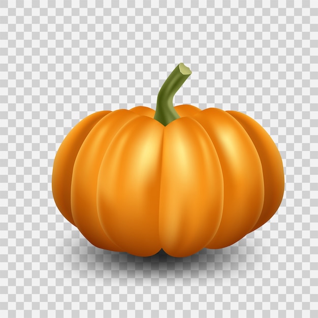 Vektor realistische orange kürbisillustration. unheimlicher kürbis halloween auf transparentem hintergrund.