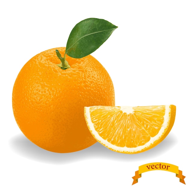 Realistische Orange mit Blatt und Scheibe. Vektorillustration