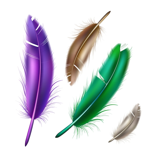 realistische Pfau Pfau Farbe Federset