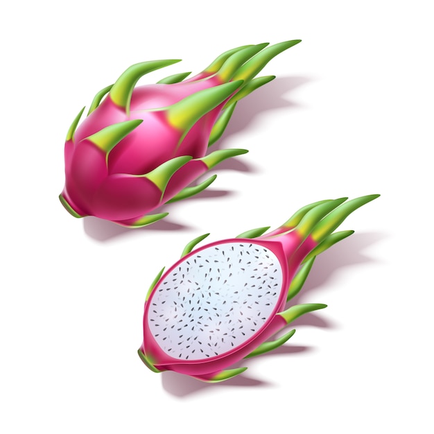 Vektor realistische pitahaya drachenfrucht pitaya