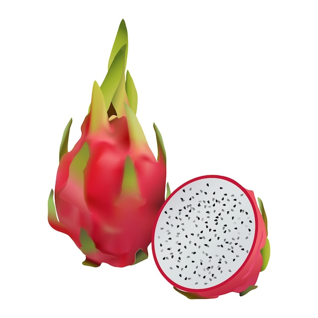 Realistische pitaya