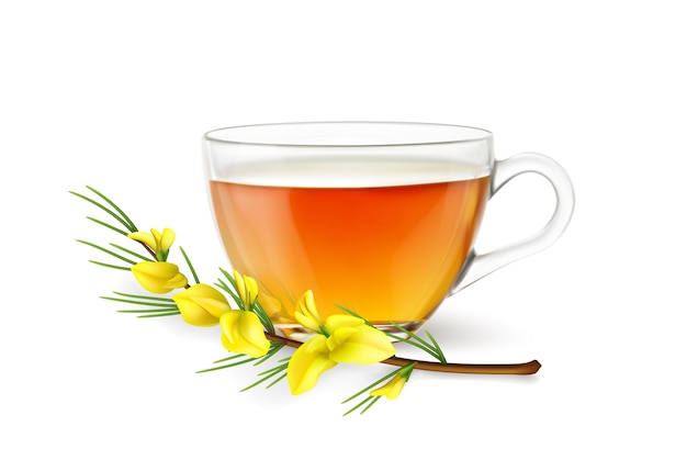 Vektor realistische rooibos-teetasse und blume 3d-glas