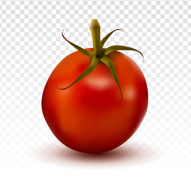 Realistische tomate mit transparentem hintergrund