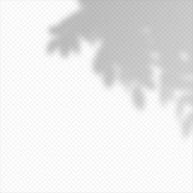 Realistische Vektortransparente Überlagerung verwischte Schatten der Zweigblätter. Gestaltungselement für Präsentationen und Mockups. Überlagerungseffekt von Baumschatten.