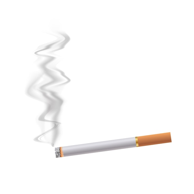 Vektor realistische zigarette mit aschorangen filterstufen von verbrennungen isoliert auf weißem hintergrund
