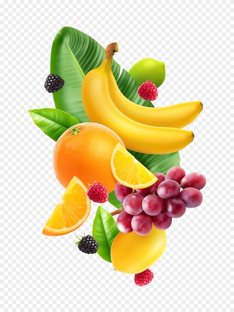Realistische Zusammensetzung frischer Früchte auf durchsichtigem Hintergrund