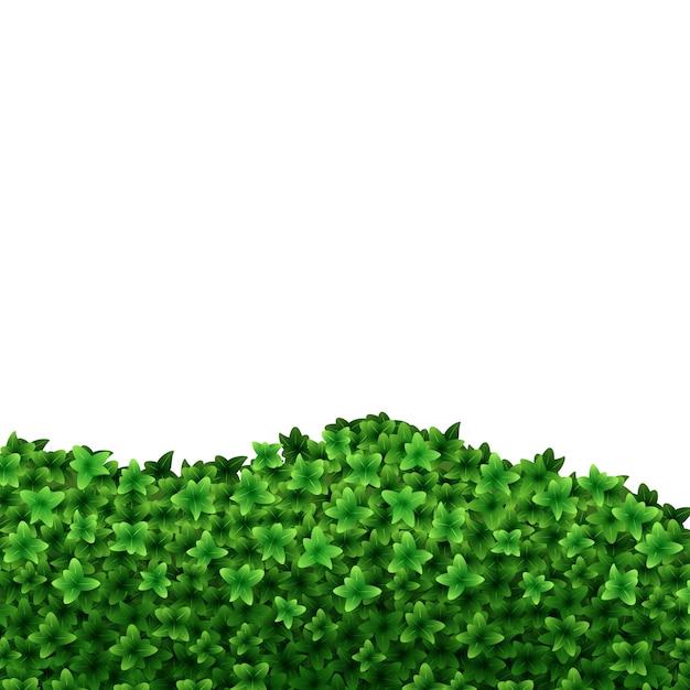 Realistischer detaillierter 3D-Vektor für grüne Hecken-Hintergrund