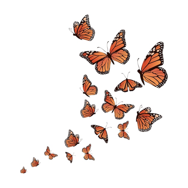 Realistischer hintergrund schmetterling vektor illustration design