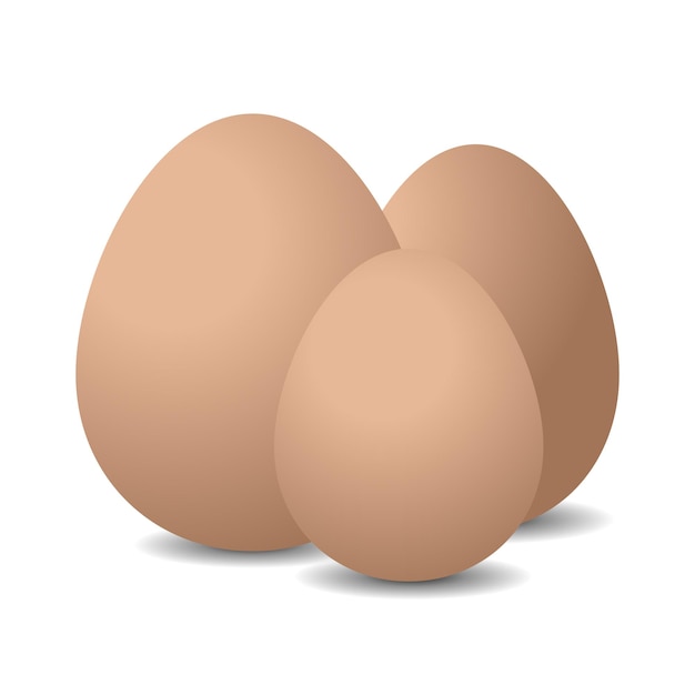 Realistischer Hühner-Ei-Vektor Ostern