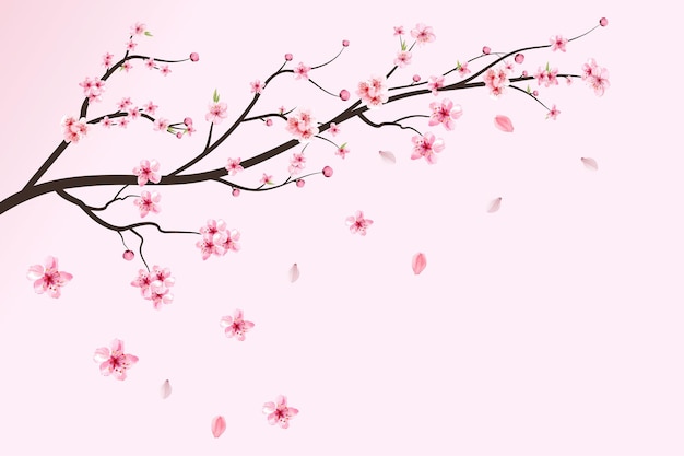 Realistischer kirschblütenzweig. rosa sakura-blume fällt. sakura mit blühender aquarellblume. kirschblütenblätter fallen. japanischer kirschblütenvektor. aquarell kirschblütenvektor.