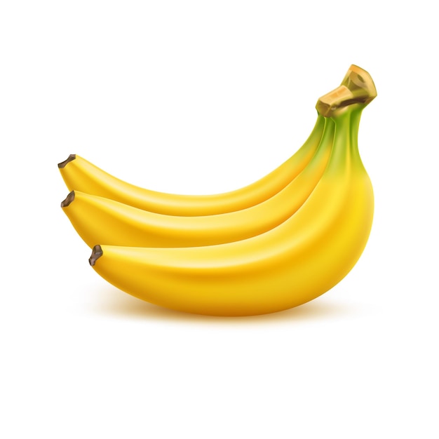 Realistischer reifer Bananenstrauß Frische gelbe Frucht