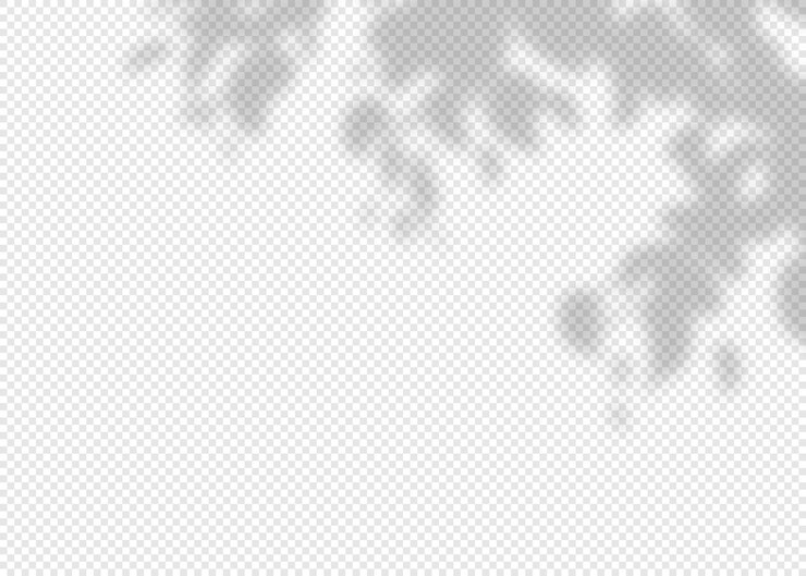 Vektor realistischer schatten-overlay-effekt von baumzweigen und blättern auf transparentem hintergrund für das modell