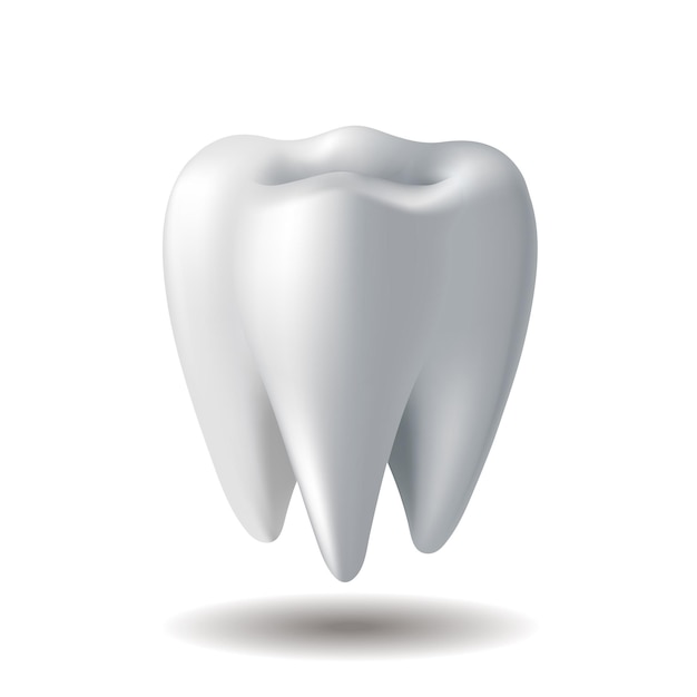 Realistischer weißer Zahn lokalisiert auf weißem Hintergrund. Stomatologie-Symbol. Realistische 3D-Vektor-Illustration.