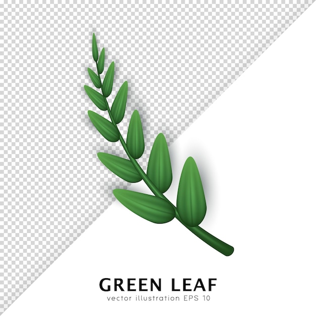 Realistischer Zweig mit grünen Blättern, isoliert auf durchsichtigem Hintergrund Designelement 3D-Baumzweig