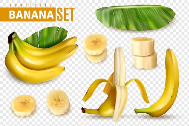Realistisches Bananen-Transparent-Set
