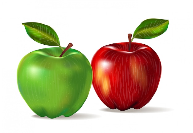 Vektor realistisches bild von zwei früchten: rote und grüne äpfel mit einer schalenbeschaffenheit. satz von zwei äpfeln lokalisiert auf weißem hintergrund mit schatten und lügen.