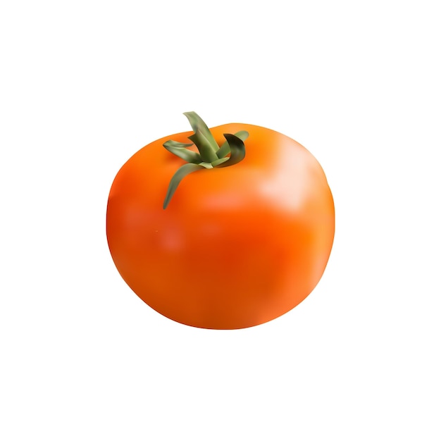 Realistisches reifes Tomatenvektordesign