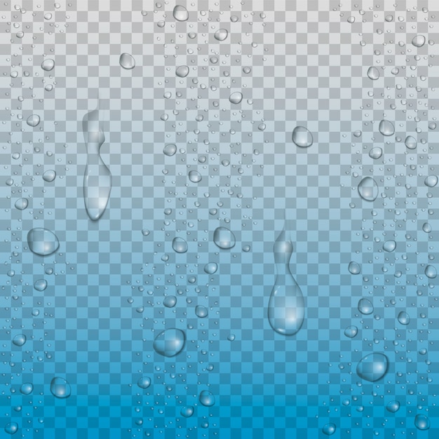 Realistisches Vektorwasser lässt transparenten Hintergrund fallen. Tropfenkondensation reinigen.