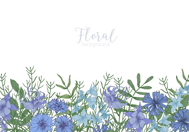 Rechteckiger hintergrund verziert mit blauen wilden blühenden blumen und wiesenblütenkräutern am unteren rand