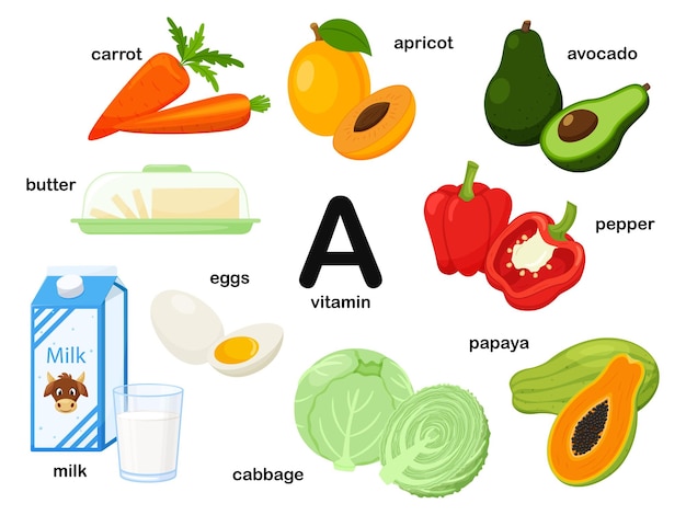 Vektor rechteckiges poster mit lebensmitteln, die vitamin a enthalten retinol medizin diät gesunde ernährung infografiken produkte mit dem namenflat cartoon food illustration isoliert auf weißem hintergrund