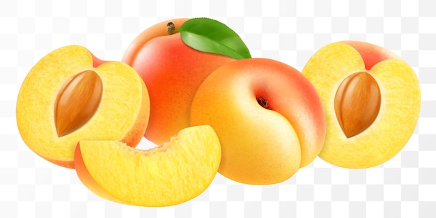 Reife Aprikosenfrüchte, die Hälfte mit der ganze Kerne und die Schnitt-Saftfrüchte auf durchsichtigem Hintergrund isoliert