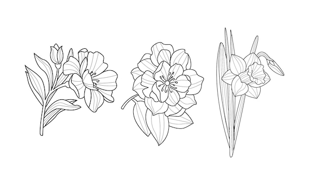Reihe blühender Gartenblumen, botanische Zeichnungen, Strichzeichnungen, Naturthema, schöne natürliche Elemente für Textilbücher oder Grußkarten, handgezeichnete Vektorillustrationen isoliert auf weißem Hintergrund