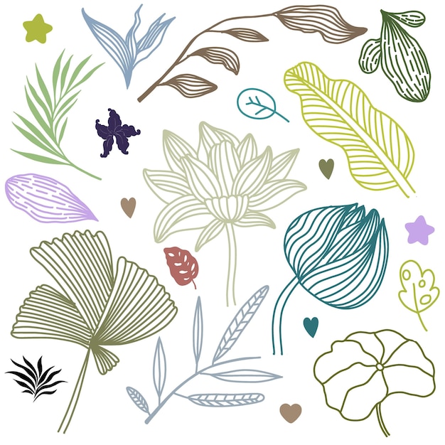 Vektor reihe floraler grafischer elemente illustrationen von handgezeichneten pflanzen und blumen