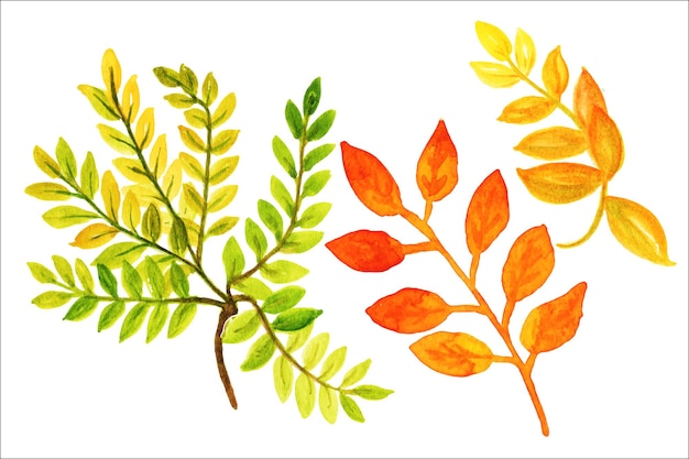 Reihe von bunten Herbstblättern. Aquarell-Illustration. Herbstaquarell hinterlässt helles Laub.