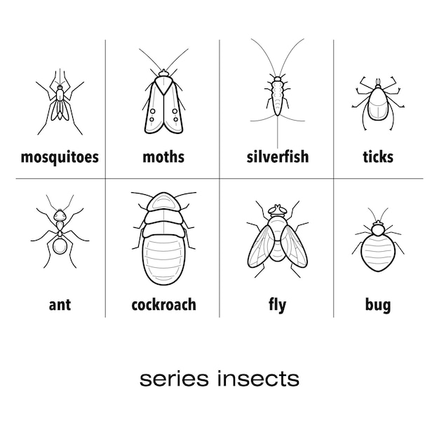 Vektor reihe von insektensymbolen