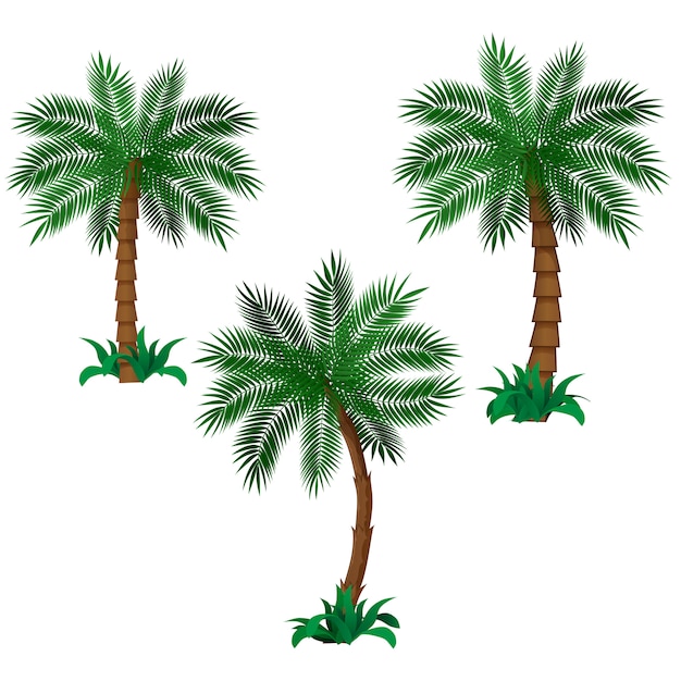 Reihe von palmen