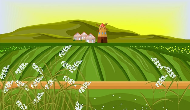 Reisfelder bauernhof landschaft vektor. sonnenschein hintergrund illustrationen