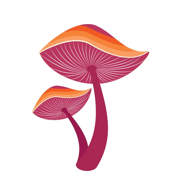 Reishi ganoderma lingzhi-pilz-vektorillustration