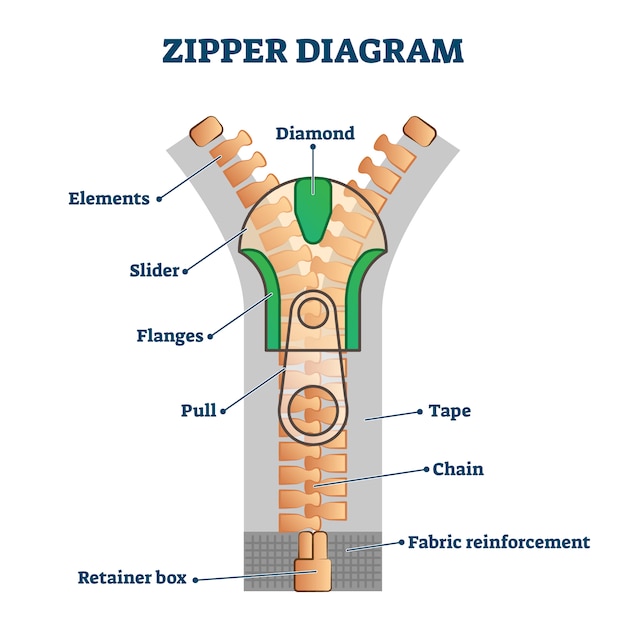 Reißverschluss diagramm abbildung. detailliertes bildungsschema mit titeln