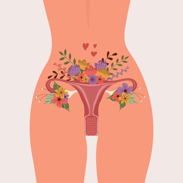 Reproduktive Darstellung des Körpers einer Frau Becken Uterus und Blumen Vektor-Illustration