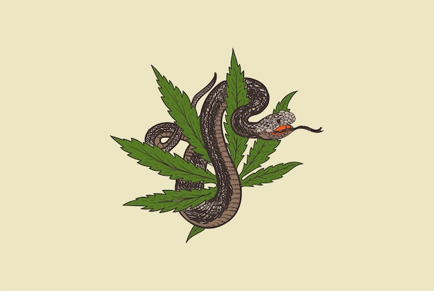 Retro Vintage Cannabis Marihuana Blatt mit Cobra Viper Mamba Snake für Tattoo Design Vector