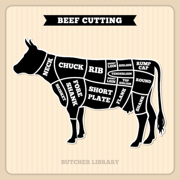 Rindfleisch, kuh schneidet metzgervektordiagramm