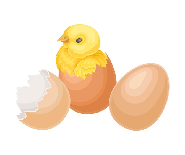 Rissene Eierschale mit gelbem Küken als Vektorillustration des Schlüpferprozesses