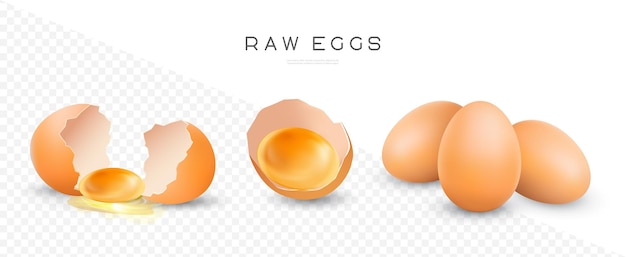 Vektor rohe hühnereier vektor isolierte illustration ganze und zerbrochene braune frische eier eigelb in eierschale