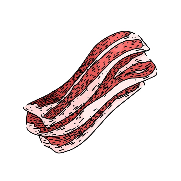 Vektor rohes fleisch, handgezeichnetes metzger-lendenstück, das frisch geschnittenes rotes rohes fleisch kocht, vektorskizze, isolierte farbillustration