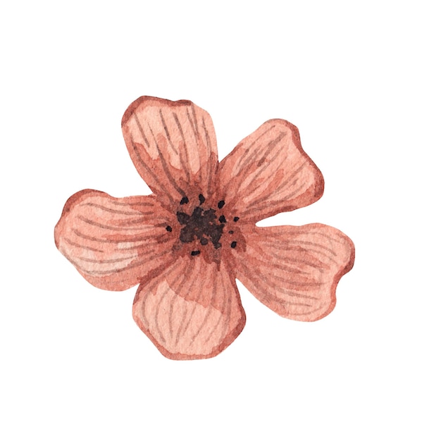 Vektor rosa blume aquarell-illustration