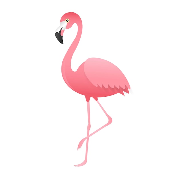 Rosa flamingo lokalisierter weißer hintergrund