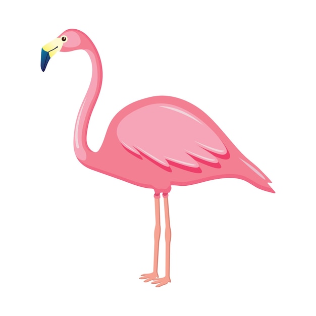 Rosa Flamingovektorillustration