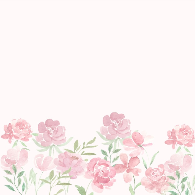 Rosa Pfingstrose-Aquarell-Blumen-Hintergrund