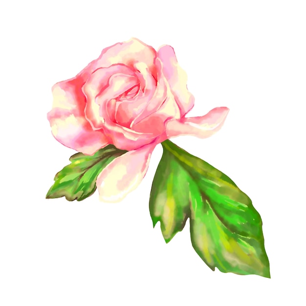 Rosa rose auf einer weißen hintergrundaquarellvektorillustrations-vektorillustration