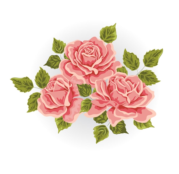 Rosa rose blumen clipart